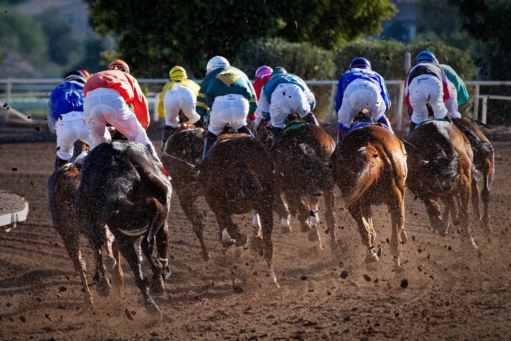 Horse Racing betting