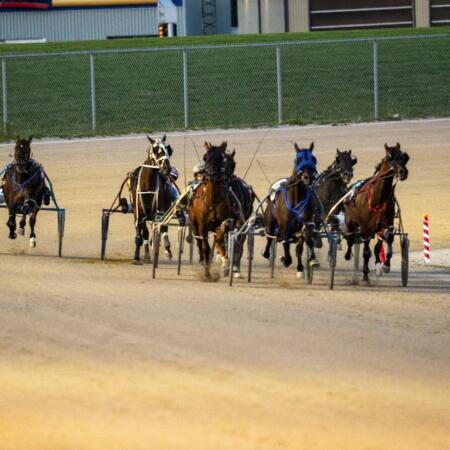 Harness racing nz